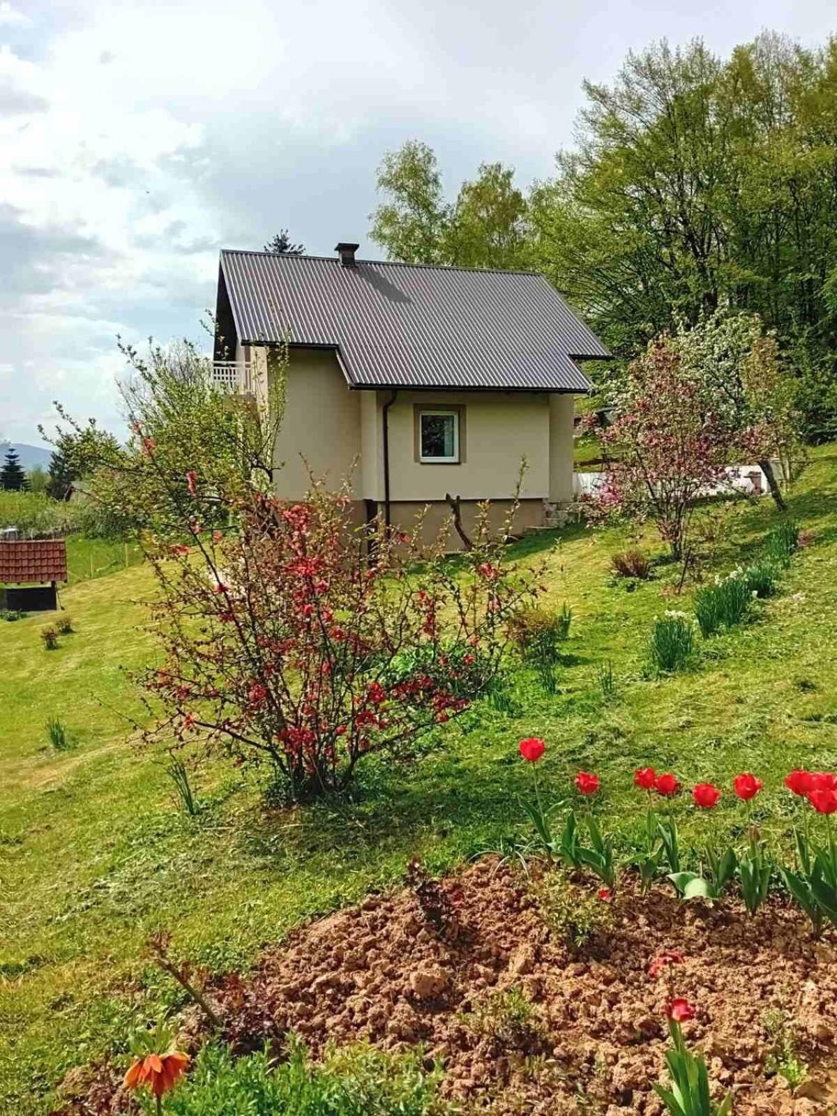 Ena Holiday home